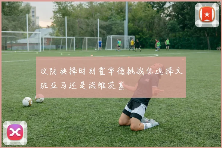 攻防抉择时刻霍华德挑战你选择文班亚马还是诺维茨基