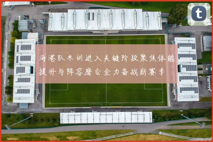 海港队冬训进入关键阶段聚焦体能提升与阵容磨合全力备战新赛季