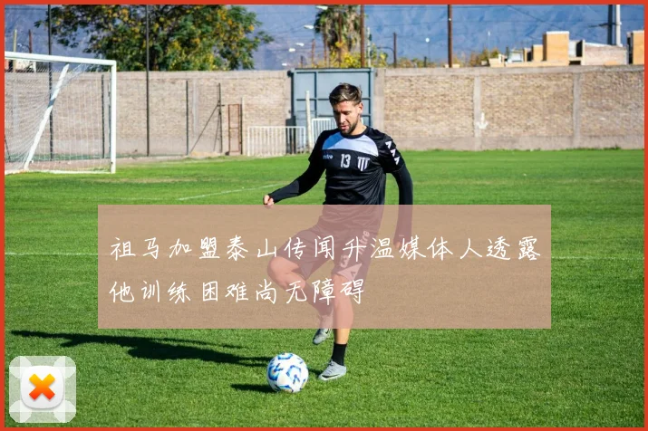 祖马加盟泰山传闻升温媒体人透露他训练困难尚无障碍