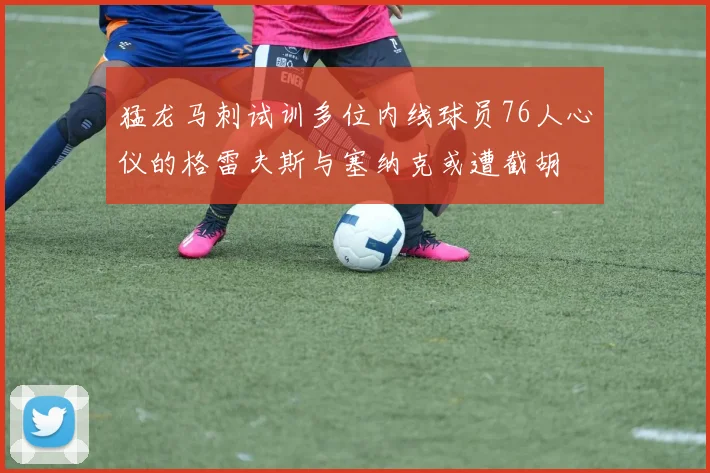 猛龙马刺试训多位内线球员76人心仪的格雷夫斯与塞纳克或遭截胡